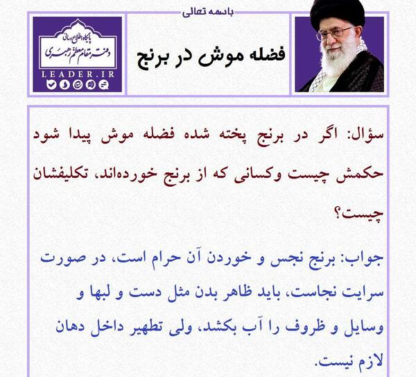 عکس فضله موش