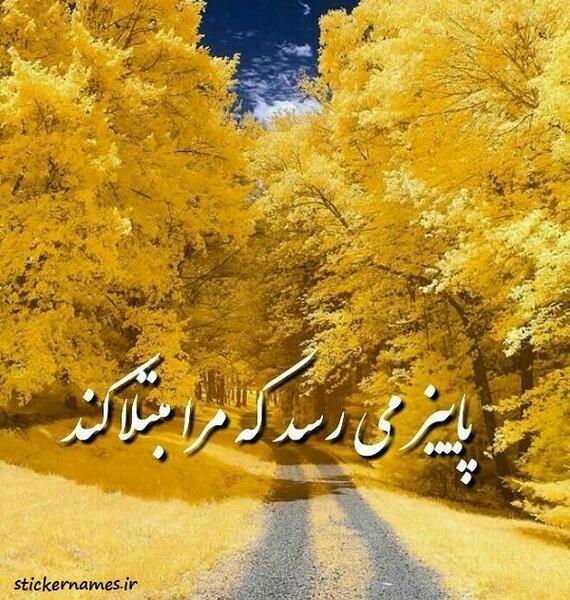 عکس نزدیک پاییز