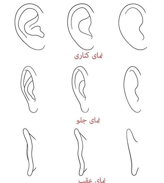 عکس نقاشی کودکانه گوش
