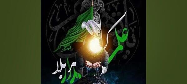عکس ببر پلاستیکی