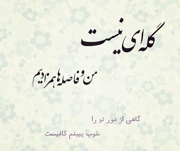 عکس نوشته نام گلی