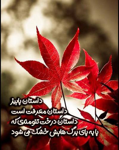 عکس استوری پاییزی پسرانه