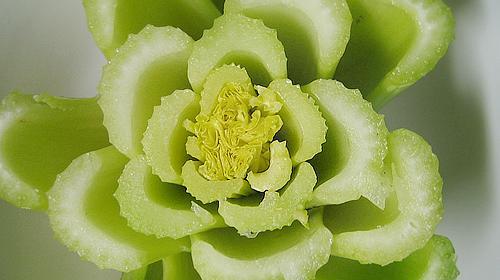 عکس های کرفس