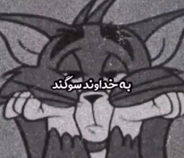 عکس پروف تام و جری