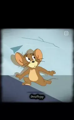 عکس پروف تام و جری