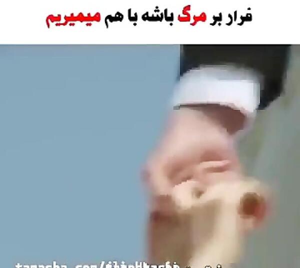 عکس پروف مرگ دخترونه