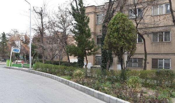 عکس هوایی جاوید شاه
