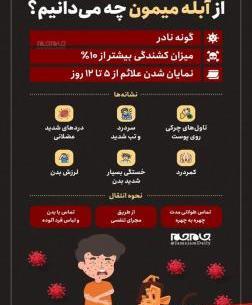 عکس ابله ی میمون