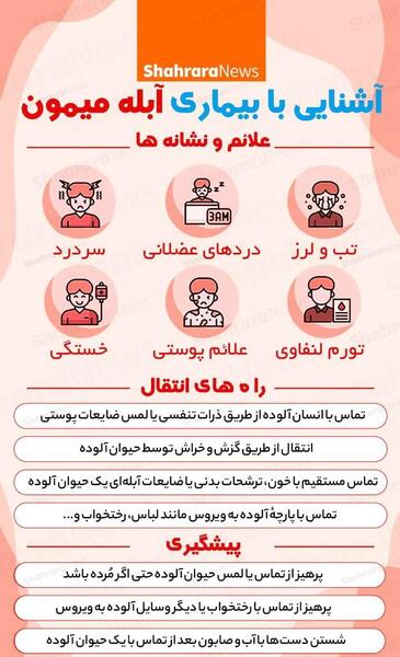 عکس ابله ی میمون