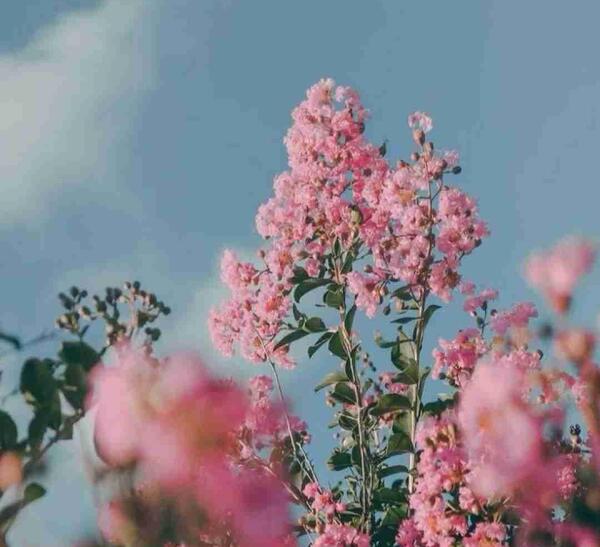 عکس نوشته یه تابوت رنگی