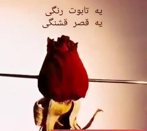 عکس نوشته یه تابوت رنگی