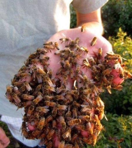 عکس دستکش لمسی