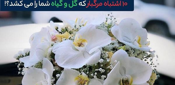 عکس های زیبا ی گل