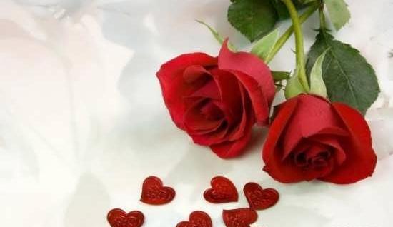 عکس های زیبا ی گل