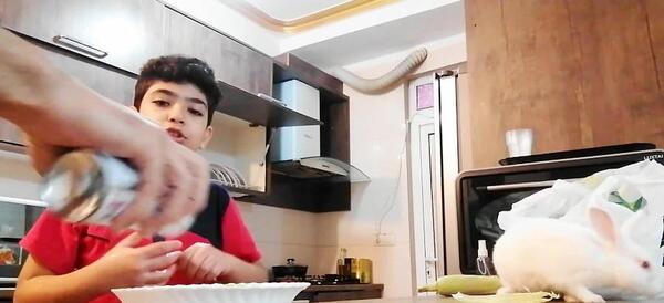 عکس خرگوش نر