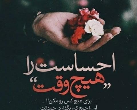 عکس نوشته کاش هیچ وقت نمی شناختمش