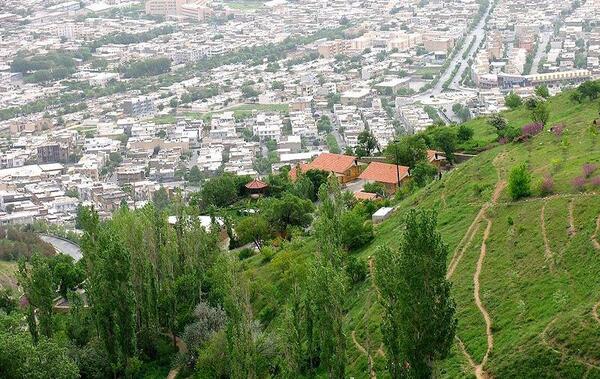 عکس نی نی گریون