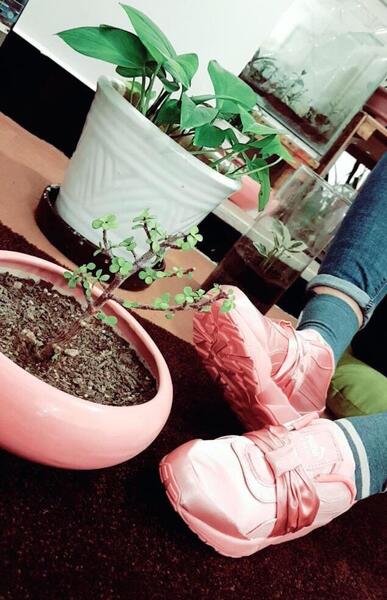 عکس کفش اسپرت صورتی