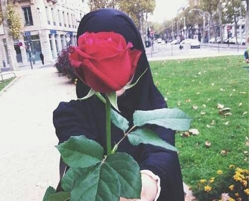 عکس حجاب یعنی وقار