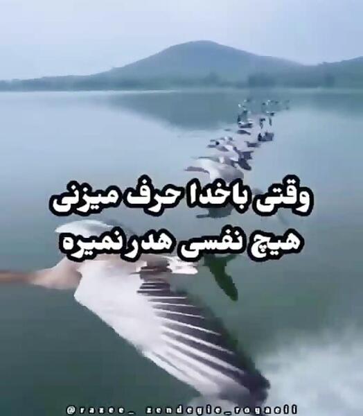 عکس نوشته خدایا گفتی ناامید نباش