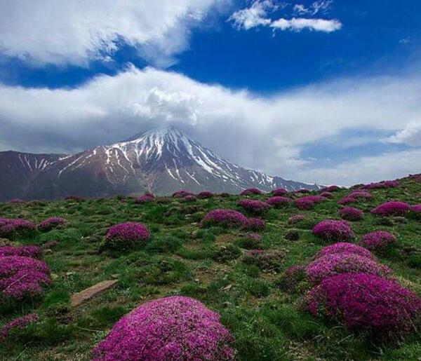 عکس زیبا از طبیعت چین