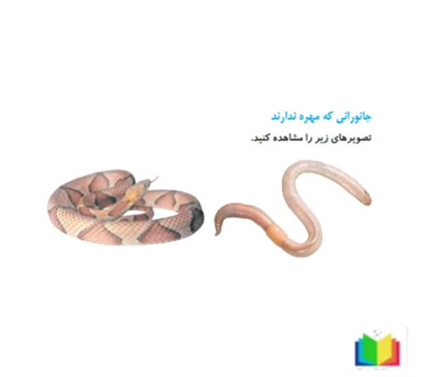 عکس ساختمان آتشفشان