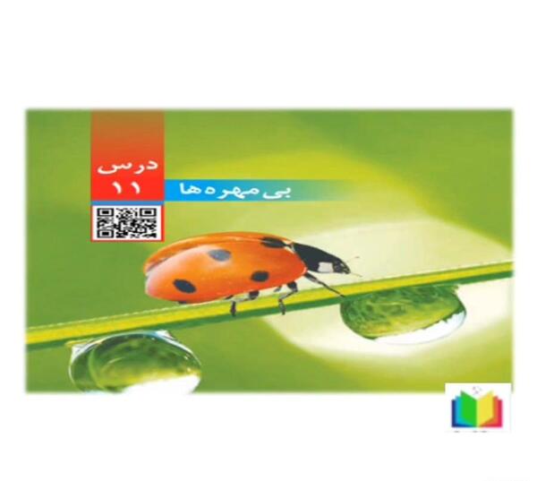 عکس ساختمان آتشفشان