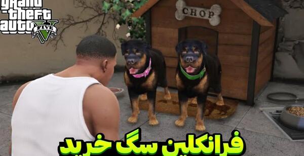 عکس سگ فرانکلین