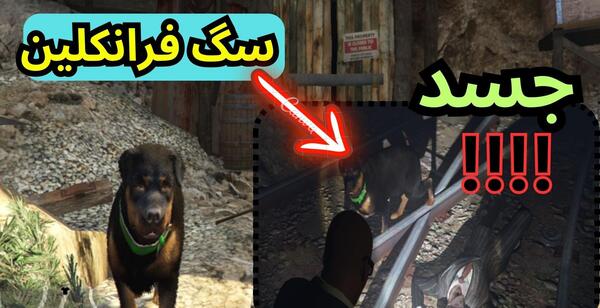 عکس سگ فرانکلین