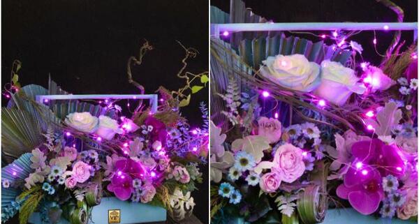 عکس گل طبیعی برای تولد