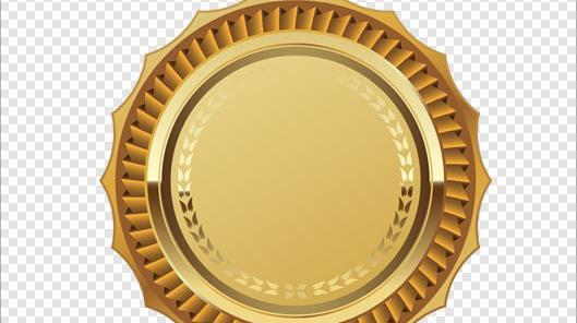 عکس لوگو گارانتی png