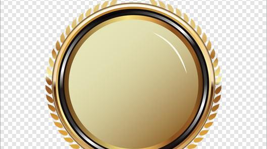 عکس لوگو گارانتی png