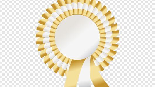 عکس لوگو گارانتی png