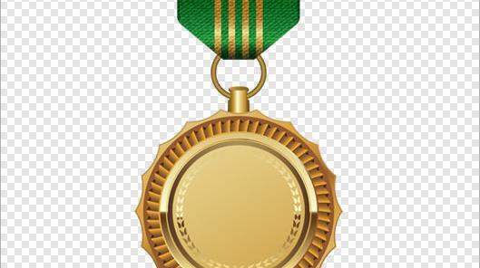 عکس لوگو گارانتی png