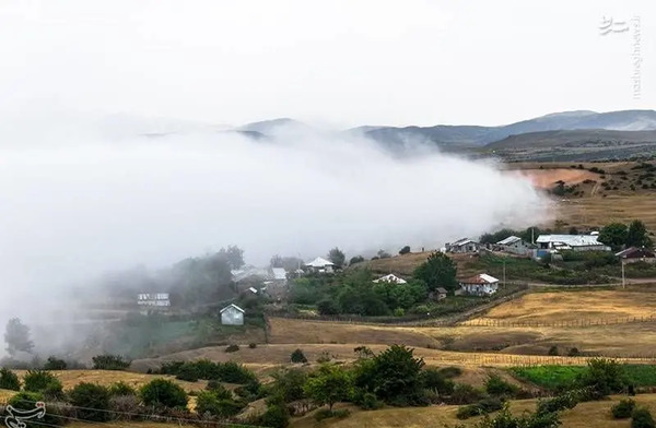 عکس شاه شهیدان