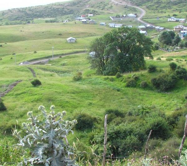 عکس شاه شهیدان