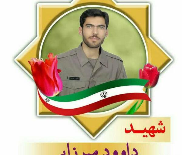 عکس شهید داوود میرزایی