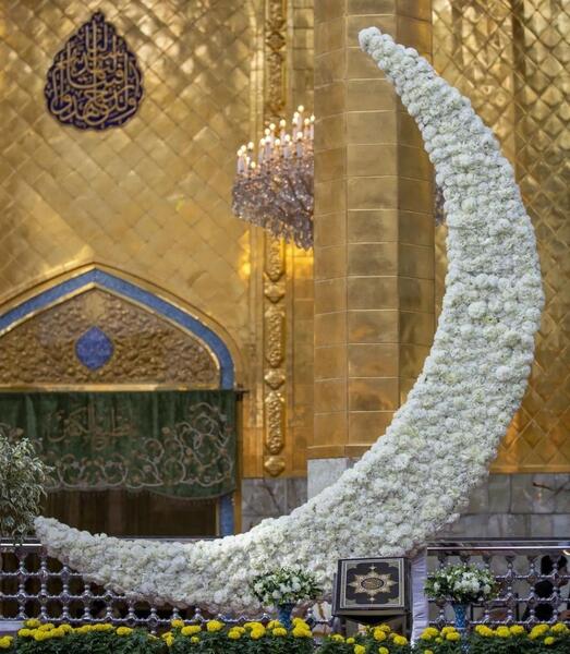 عکس جنین۵۰ روزه