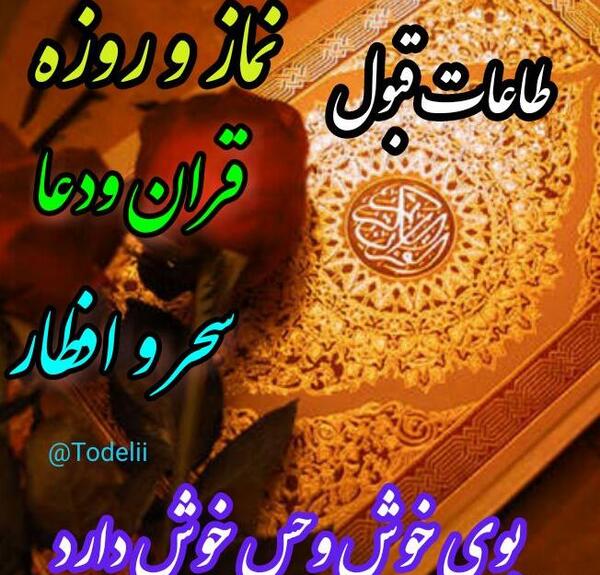 عکس جنین۵۰ روزه