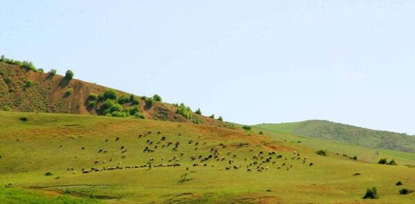 عکس تصاویر روستای پابند