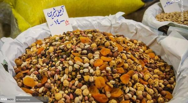 عکس یلدایی در جنگل