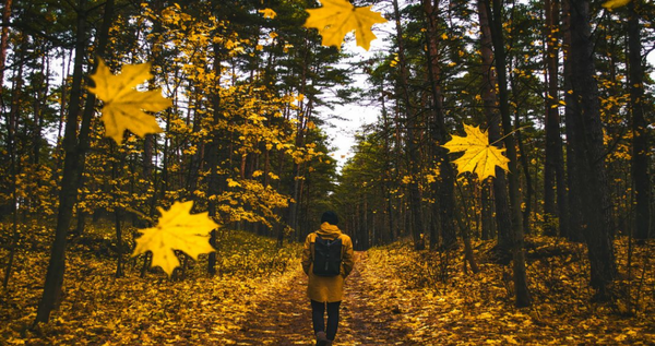 ژست عکس اسپرت فضای باز مردانه