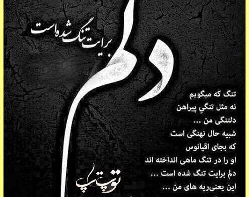 عکس نوشته کاش عکسی که ازت دارم نفس هم میکشید