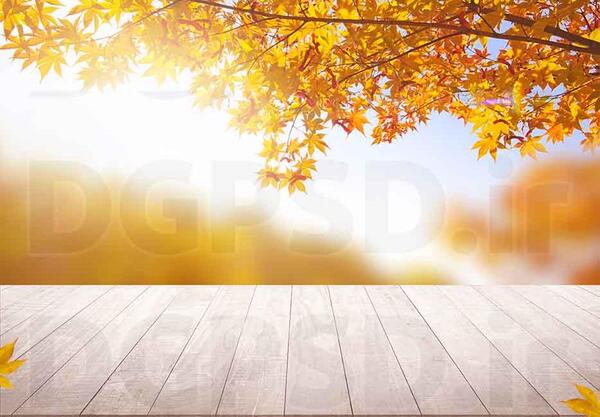عکس پس زمینه پاییز