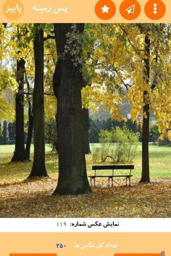 عکس پس زمینه پاییز