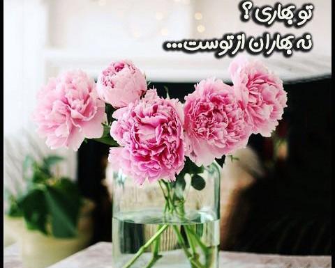 عکس نوشته بهار زیباست