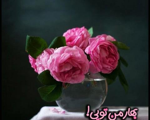 عکس نوشته بهار زیباست