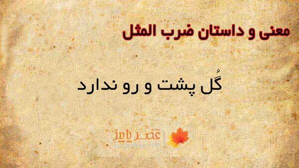 عکس پشت صحنه ضرب المثل