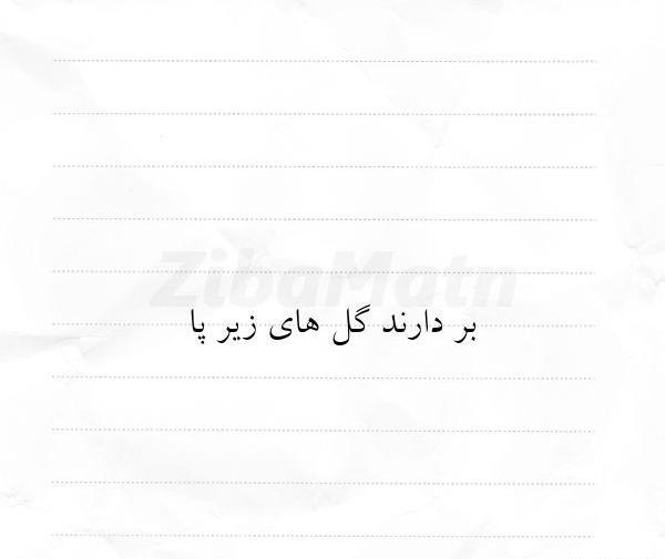 عکس نوشته زهره جدید