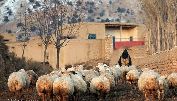عکس روستا ایران